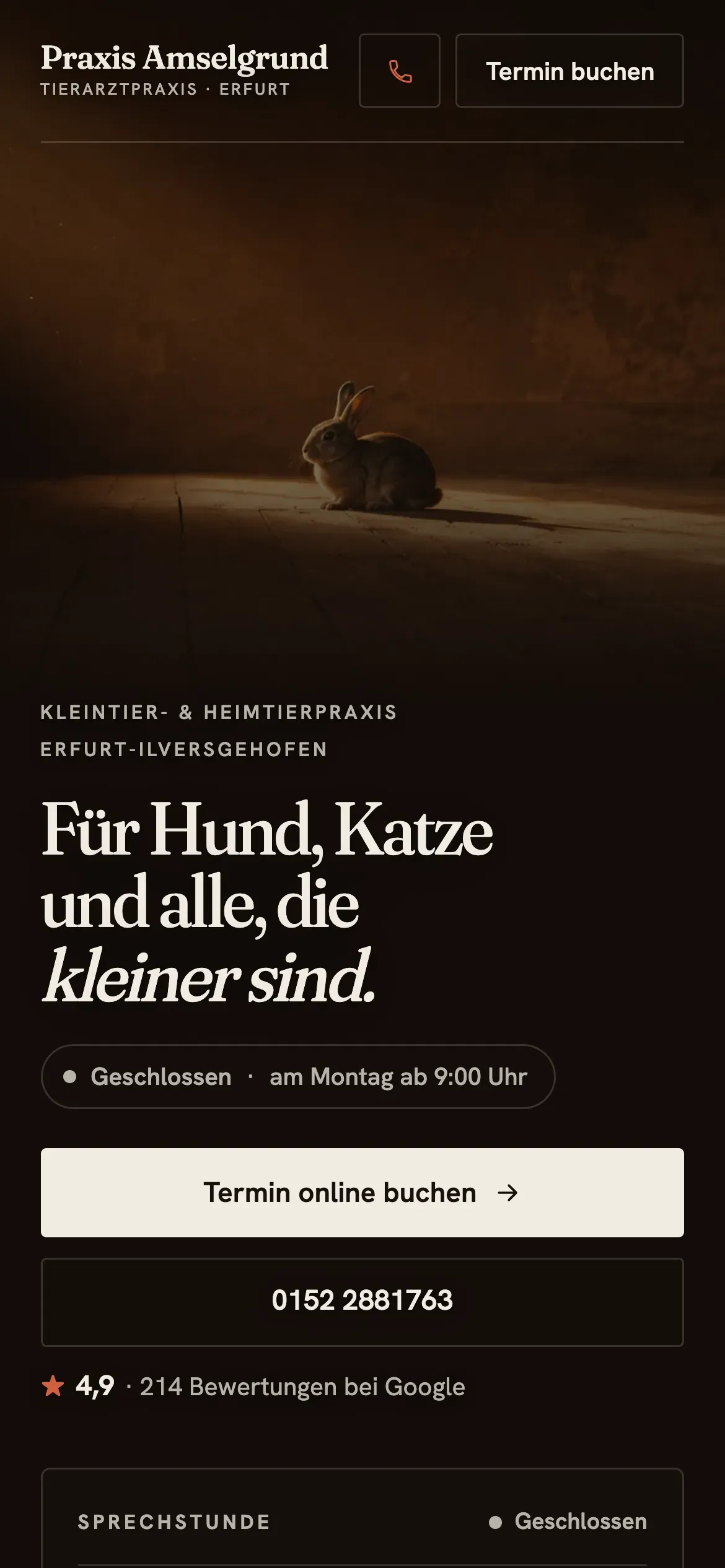 The Amselgrund homepage on a phone: the wordmark and headline over a cropped hero photograph, with a live status chip and booking button below.
