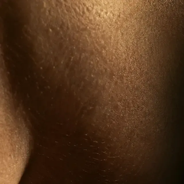 A square, lit texture crop set inside the site's gold instrument-bezel ring, echoing the hero photograph's warm tones.
